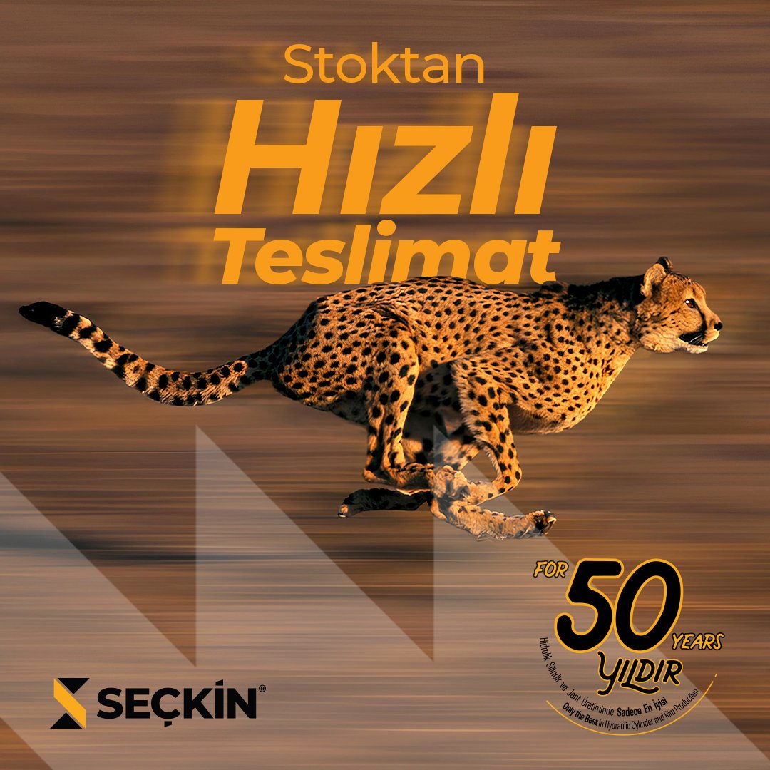 İhtiyacınız olan hidrolik silindir ve jantları stoktan hızlı teslimat ile güvenli bir şekilde iletiyoruz.

#seckinmakine #hidroliksilindir #lider #ismakinesi #yarımasır #uzman #tecrübe